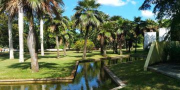 Jardín Botánico Nacional de Cuba, en La Habana. Foto: naturalezatropical.com