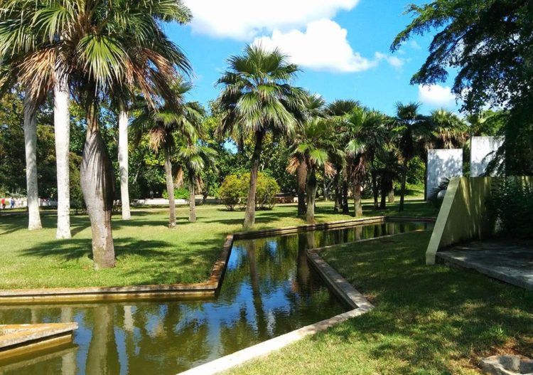 Jardín Botánico Nacional de Cuba, en La Habana. Foto: naturalezatropical.com
