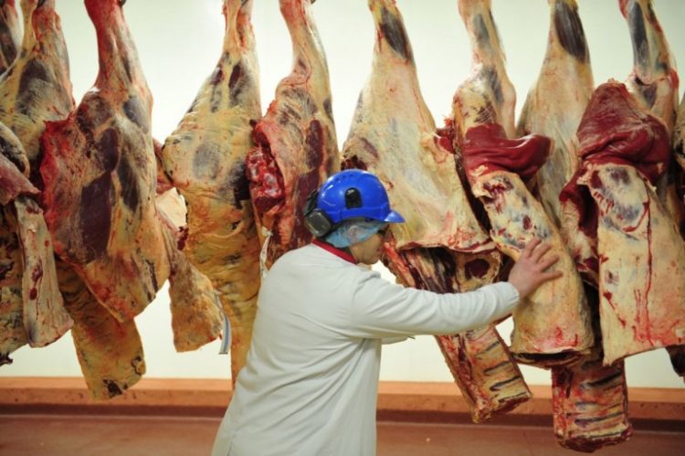 Carne vacuna en frigorífico de Paraguay. Foto: 5 Días.