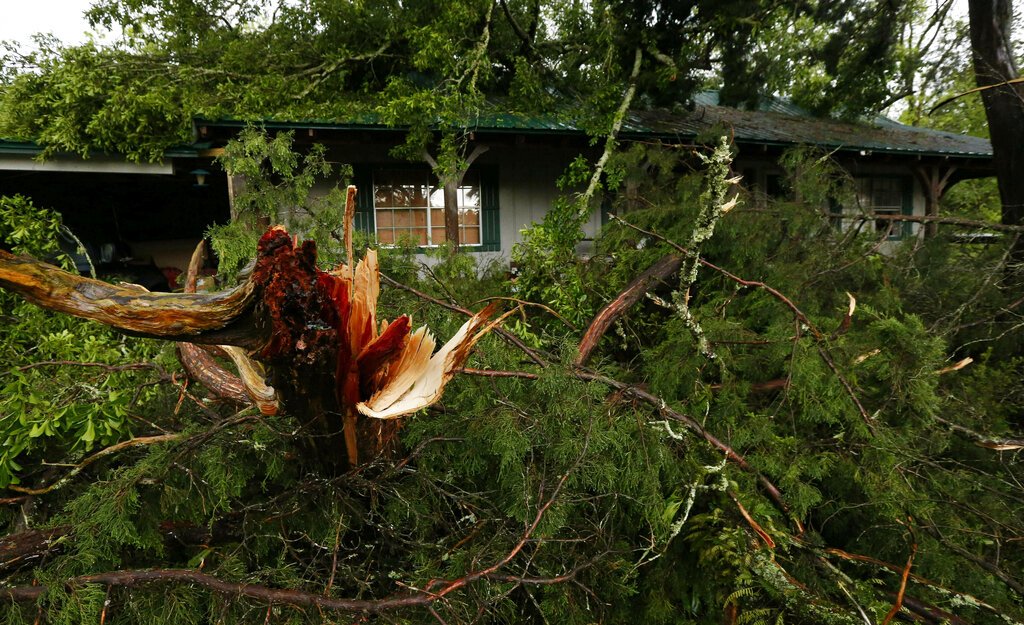 Ramas de árboles quedaron esparcidas cerca de una vivienda tras el paso de una tormenta en Learned, Mississippi, el jueves 18 de abril de 2019. Foto: Rogelio V. Solis / AP.