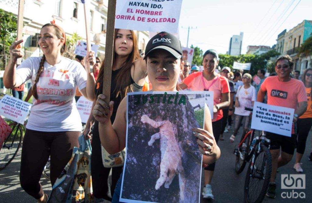 Marcha contra el maltrato animal, el 7 de abril de 2019 en La Habana. Foto: Otmaro Rodríguez / Archivo.