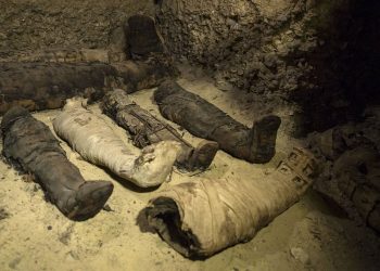 Momias halladas en una cámara funeraria en Egipto en febrero de 2019. Foto: Roger Anis / AP / Archivo.