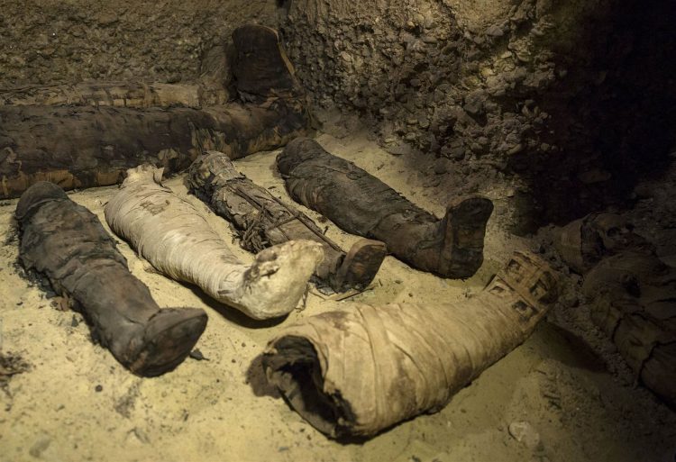 Momias halladas en una cámara funeraria en Egipto en febrero de 2019. Foto: Roger Anis / AP / Archivo.