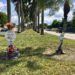 Los pequeños monumentos en las calles de Miami que recuerdan los muertos en la carretera. Foto: Rui Ferreira