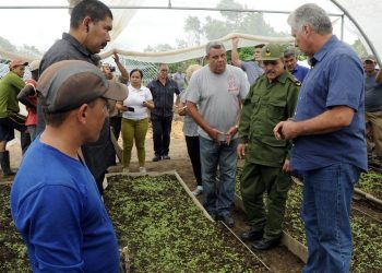El presidente cubano, Miguel Díaz-Canel, en un recorrido por una empresa agrícola. Foto: Estudios Revolución / Archivo.