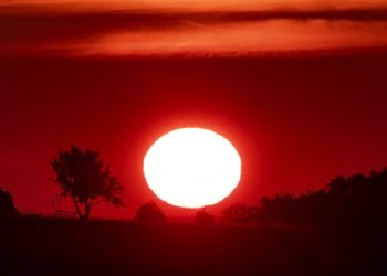 Amanecer en Frankfurt, Alemania, el lunes 24 de junio de 2019. Foto: Michael Probst / AP.