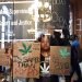 Pilar DeJesus, junto con una coalición de manifestantes, sostiene un letrero exhortando a los legisladores a aprobar la posesión de marihuana contra las puertas del Senado en el Capitolio estatal el miércoles 19 de junio de 2019 en Albany, Nueva York. Foto: Hans Pennink / AP.