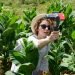 Turista en Viñales. Foto: Otmaro Rodríguez.