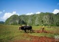 Viñales. Foto: Otmaro Rodríguez.