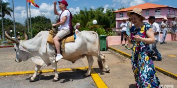 Turistas en Viñales, en el occidente de Cuba. Foto: Otmaro Rodríguez / Archivo.