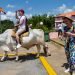 Turistas en Viñales, en el occidente de Cuba. Foto: Otmaro Rodríguez / Archivo.