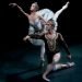 24-Intl-Ballet-Fest_Web2019