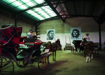 Carruajes tirados por caballos que se usan para dar paseos a los turistas, estacionados en el garaje de una cooperativa, bajo los murales de Fidel Castro y Ernesto "Che" Guevara, en La Habana, Cuba. Foto: Ramón Espinosa / AP.