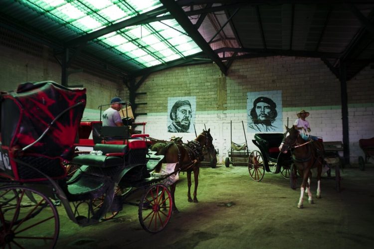 Carruajes tirados por caballos que se usan para dar paseos a los turistas, estacionados en el garaje de una cooperativa, bajo los murales de Fidel Castro y Ernesto "Che" Guevara, en La Habana, Cuba. Foto: Ramón Espinosa / AP.