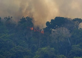 Foto de archivo de los incendios en la Amazonía, cerca de Porto Velho, Brasil, en agosto de 2019. Foto: Víctor R. Caivano / AP / Archivo.