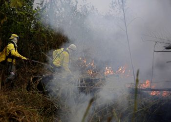 Bomberos combaten un incendio en el Bosque Nacional Jacundá en la región de la Amazonía, Brasil, el lunes 26 de agosto de 2019. Foto: Eraldo Peres / AP.
