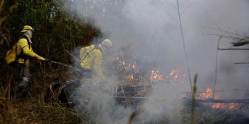 Bomberos combaten un incendio en el Bosque Nacional Jacundá en la región de la Amazonía, Brasil, el lunes 26 de agosto de 2019. Foto: Eraldo Peres / AP.