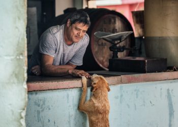 "Un momento tierno entre un bodeguero y un perro callejero". Centro Habana, La Habana. Foto: Emmy Park. Todos los derechos reservados.