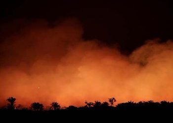 Incendio en la Amazonía. Foto: Telesur.