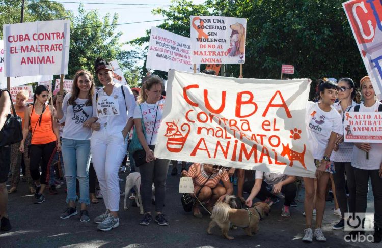 Marcha contra el maltrato animal en abril de 2019 en La Habana. Foto: Otmaro Rodríguez.