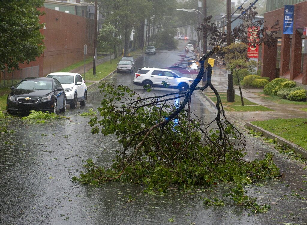Las ramas de un árbol obstruyen una calle en Halifax, Nueva Escocia, en Canadá, a medida que se acercaba el huracán Dorian, el sábado 7 de septiembre de 2019. Foto: Andrew Vaughan/The Canadian Press vía AP.