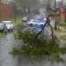 Las ramas de un árbol obstruyen una calle en Halifax, Nueva Escocia, en Canadá, a medida que se acercaba el huracán Dorian, el sábado 7 de septiembre de 2019. Foto: Andrew Vaughan/The Canadian Press vía AP.