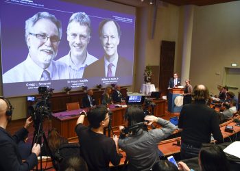 Thomas Perlmann, a la derecha, secretario general del Comité del Nobel, anuncia los ganadores de 2019 del Nobel de Medicina durante una conferencia de prensa en Estocolmo, Suecia, el lunes 7 de octubre de 2019. (Pontus Lundahl/TT via AP)