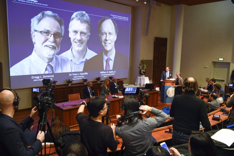 Thomas Perlmann, a la derecha, secretario general del Comité del Nobel, anuncia los ganadores de 2019 del Nobel de Medicina durante una conferencia de prensa en Estocolmo, Suecia, el lunes 7 de octubre de 2019. (Pontus Lundahl/TT via AP)