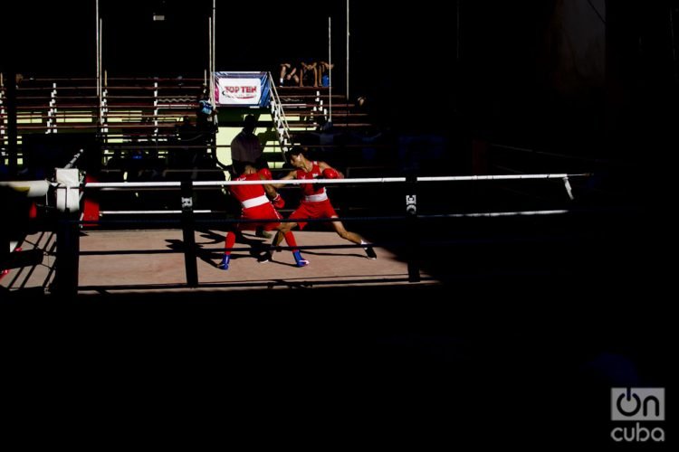 Boxeadores durante un combate en La Habana. Foto: Otmaro Rodríguez/OnCuba/Archivo.