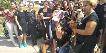 Activistas cubanos que rescataron a animales que iban a ser sacrificados en La Habana por la dependencia estatal Zoonosis, el 11 de noviembre de 2019. Foto: Beatriz Batista / Facebook.