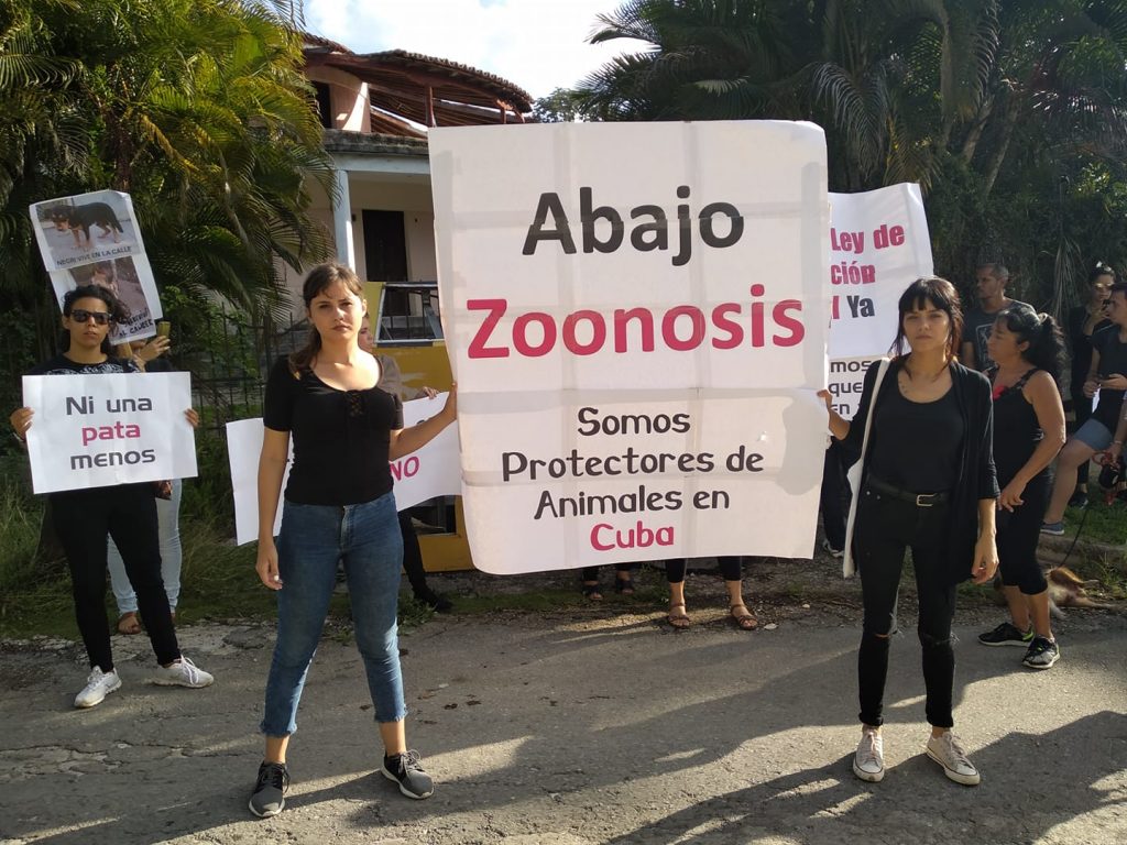 Protectores cubanos protestan contra el maltrato animal frente a un centro del programa estatal de Zoonosis, el lunes 11 de noviembre de 2019. Foto: Perfil de Facebook de Beatriz Batista.