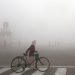 Un ciclista en medio del smog matutino en Nueva Delhi, India. Foto: Manish Swarup / AP / Archivo.