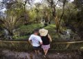 En esta imagen, tomada el 20 de octubre de 2019, una pareja de visitantes observan el paisaje y la fauna en un pantano en la Reserva Nacional Big Cypress en Florida. Foto: AP/Robert F. Bukaty