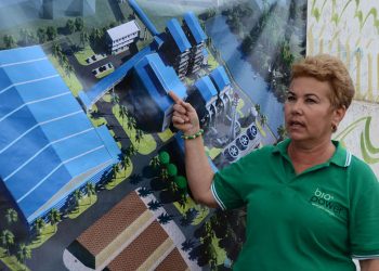 Carmen Taboada, vicepresidenta de la empresa mixta Biopower S.A., muestra la maqueta de la mayor bioeléctrica de Cuba. Foto: Joaquín Hernández Mena/Trabajadores.
