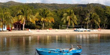 Fotografía del archivo del 16 de enero de 2020 que muestra dos pelícanos posados en dos botes, en la Villa Guajimico, en Cienfuegos. Foto: Yander Zamora / EFE / Archivo.