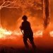 Un bombero trata de apagar el fuego en Nowra, Nueva Gales del Sur, Australia, el martes 2 de enero. Foto: El País