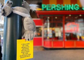 Koala de peluche colocado en Nueva York como parte de una campaña la agencia independiente Cummins & Partners. Foto: koalasofnyc / Instagram.