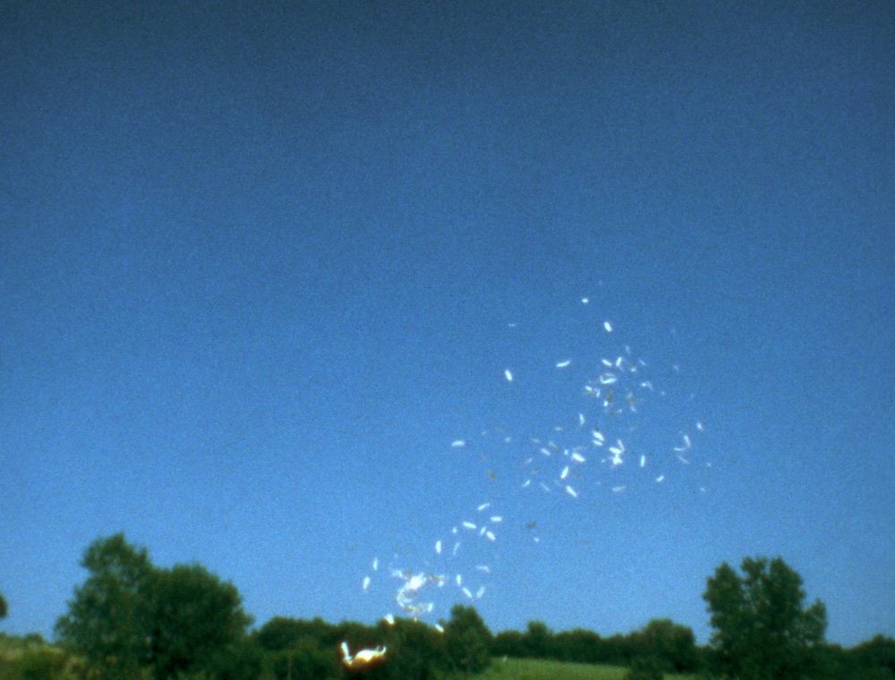 Cuadro de la película "Weather Balloon Feathered Balloon", de Ana Mendieta. Foto: noguerasblanchard.com