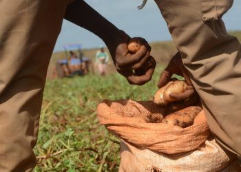 Foto: Osvaldo Gutiérrez/ACN.
