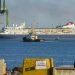 El crucero MS Braemar, con cinco casos confirmados de COVID-19 a bordo, tras su llegada al puerto cubano del Mariel, desde donde fueron evacuados sus pasajeros y parte de sus tripulantes, para su salida rumbo al Reino Unido, el miércoles 18 de marzo de 2020. Foto: Otmaro Rodríguez.
