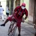La Habana: un hombre se traslada en bicicleta a su trabajo en tiempos de coronavirus. Foto: Otmaro Rodríguez