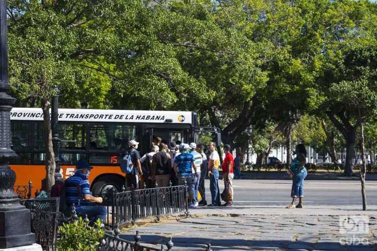 Una parada del Parque de la Fraternidad. Foto: Otmaro Rodríguez.