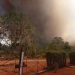 Incendio forestal en la comunidad de Motembo, al norte de Villa Clara, el 24 de abril de 2020. Foto: Livanis Moya / Vanguardia.