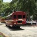 Personas aplauden a unos camiones de bomberos que desfilan haciendo sonar sus sirenas y luces por las calles de Miami, Florida, como una muestra de agradecimiento por su labor durante la pandemia de la Covid-19, el 20 de mayo de 2020. Foto: Ana Mengotti / EFE.
