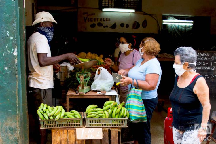 Productos agrícolas en los mercados. Foto: Otmaro Rodriguez
