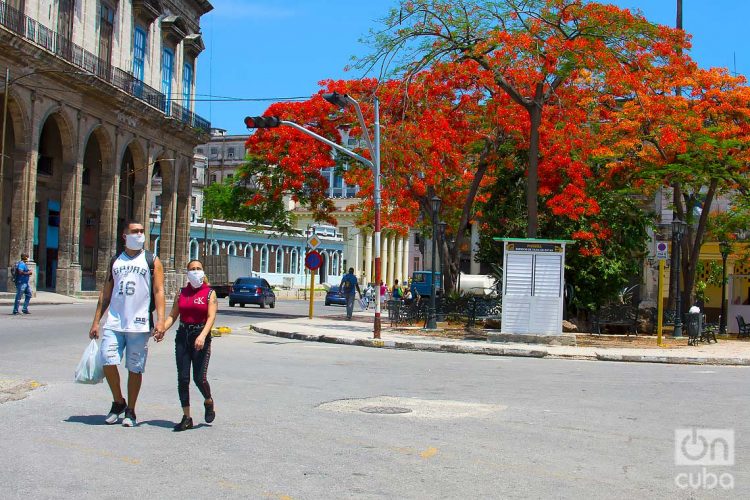 Los nuevos casos corresponden a La Habana y Mayabeque, y a los municipios de Cotorro y San José de las Lajas, respectivamente. Foto: Otmaro Rodríguez