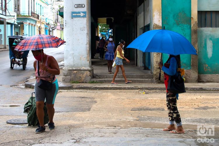 Los 15 contagios informados hoy fueron identificados en La Habana. 11 provincias de Cuba, y el municipio especial Isla de la Juventud, no reportan nuevos casos desde hace dos semanas. Foto: Otmaro Rodríguez