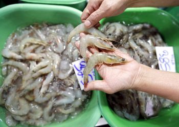 China suspende la importación de camarones de Ecuador al detectar virus en paquetes. Foto: EPA/NARONG SANGNAK/EFE, archivo.