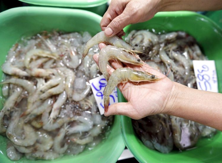China suspende la importación de camarones de Ecuador al detectar virus en paquetes. Foto: EPA/NARONG SANGNAK/EFE, archivo.