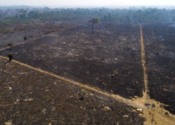 Vista aérea de un área consumida por un incendio cerca de Novo Progresso, en el estado de Pará, Brasil, el martes 18 de agosto de 2020. Foto: Andre Penner/AP.